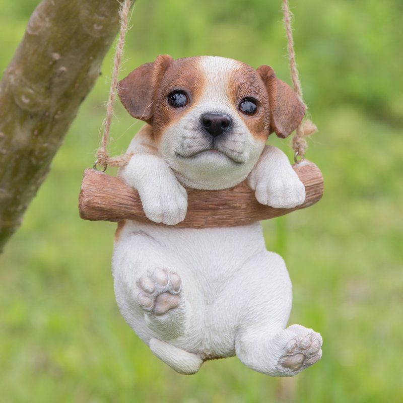 jack russel terrier puppy jack russel terrier puppy